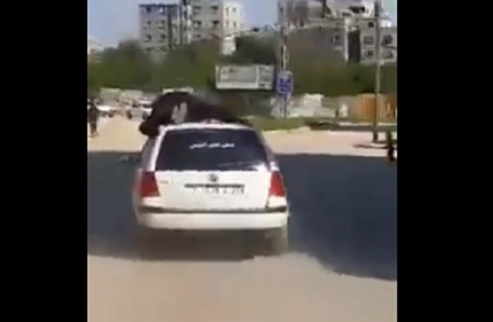 مطاردة أمنية ساخنة في غزة على طريقة الآكشن (فيديو) مطاردة أمنية ساخنة في غزة على طريقة الآكشن (فيديو)