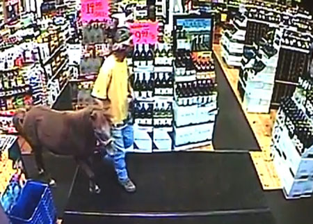 شاب يدخل سوبر ماركت ومعه حصانه