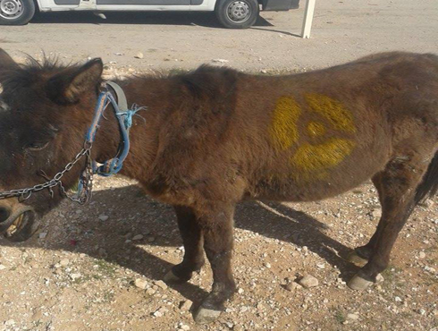 بالصور : إعتصام ضد " حمار " المفاعل النووي في الرمثا بالصور : إعتصام ضد " حمار " المفاعل النووي في الرمثا