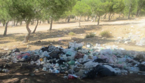 غابة اليوبيل بالكرك مكرهة صحية غابة اليوبيل بالكرك مكرهة صحية