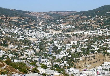 محافظ عجلون يؤكد أهمية توافر عناصر السلامة العامة لبركة عبين