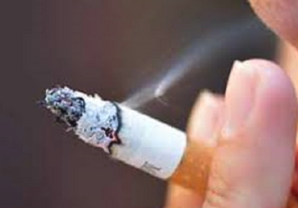 المياه والري تناقش أضرار آفة التدخين