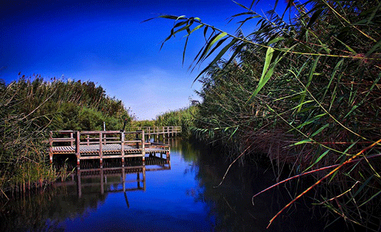 ارتفاع موازنة بلدية الأزرق الى 4 ملايين دينار