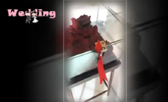 بالفيديو: عروس تنفذ فكرة طريفة بدلا من إلقاء باقة الزهور