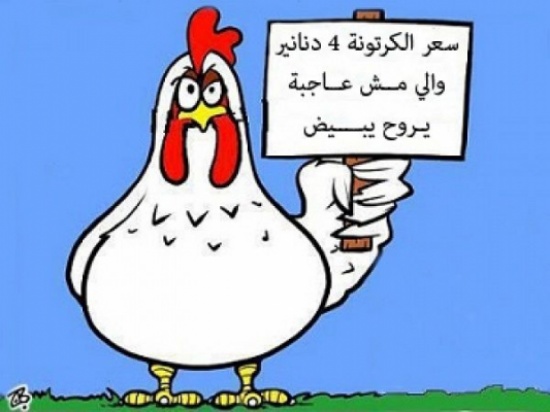 حماية المستهلك: ارتفاع أسعار البيض غير مبرر حماية المستهلك: ارتفاع أسعار البيض غير مبرر