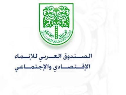 مجلس إدارة الصندوق العربي يؤكد دعمه للتعداد العام لسكان والمساكن 2014