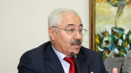 داودية: النظام السياسي الاردني قوي ومعافى داودية: النظام السياسي الاردني قوي ومعافى