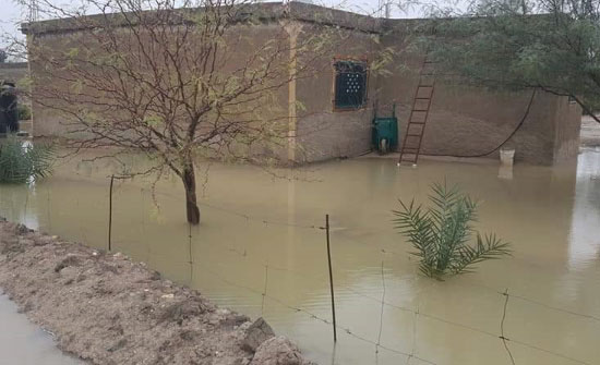 الامطار تحاصر بيوتا في دير علا الامطار تحاصر بيوتا في دير علا