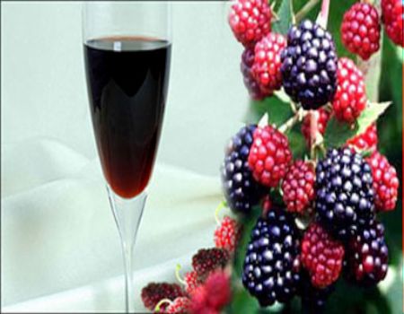 عصير التوت البرى المحلى يحتوي على كميات من السكر تفوق عبوة للكوكا كولا