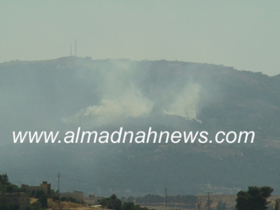 حريق جديد في غابات دبين في نفس مكان حريق سابق حريق جديد في غابات دبين في نفس مكان حريق سابق