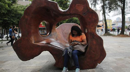 بالصور : فنون من وحي الأشجار