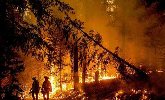 قتيل و27 جريحًا جراء حريق غابات قرب الريفيرا في فرنسا .. بالفيديو قتيل و27 جريحًا جراء حريق غابات قرب الريفيرا في فرنسا .. بالفيديو