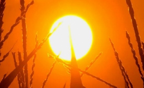 طقس صيفي اعتيادي الاحد .. وعودة الأجواء الحارة منتصف الاسبوع