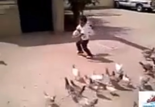 طفل يخاف من " الحمام " !