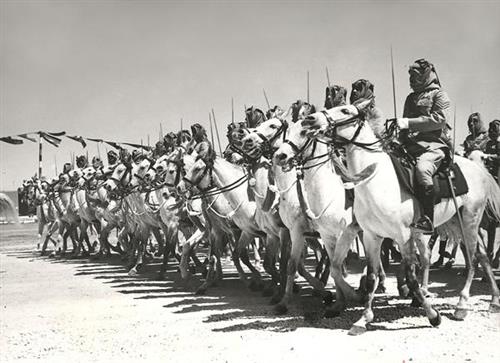 التلفزيون الأردني يبث فيلما وثائقيا عن الثورة العربية الكبرى في أجزاء اعتبار من غد الجمعة