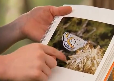 قاتل الفراش