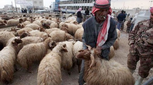 اجتماع لجنة مشروع تنمية جمعيات مربي الثروة الحيوانية التعاونية