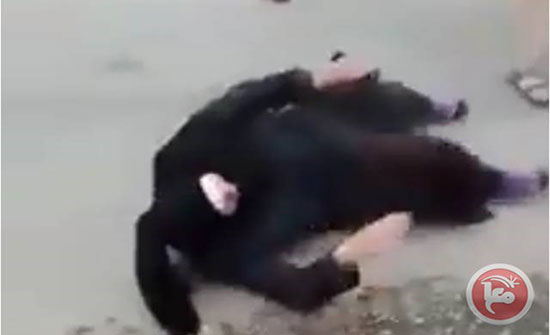 شاهد- مستوطنون يعتدون بوحشية على سيدة وابنها