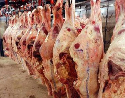 توزيع لحوم الاضاحي على الاسر المحتاجة في الرمثا توزيع لحوم الاضاحي على الاسر المحتاجة في الرمثا