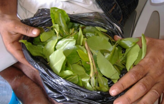 فيديو طريف.. تأثير القات على شاب يمني