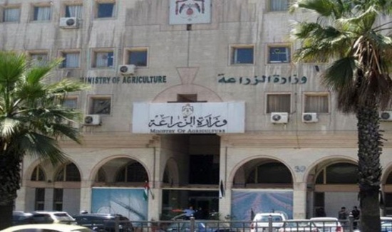 تعميم في "الزراعة" يمنع تنسيبات العمالة الوافدة تعميم في "الزراعة" يمنع تنسيبات العمالة الوافدة