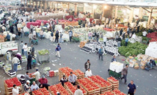2560 طن خضار وفواكه ترد للسوق المركزي السبت 2560 طن خضار وفواكه ترد للسوق المركزي السبت
