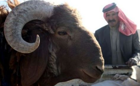 متابعة تنفيذ مشروع المربع الصحي لسوق المواشي