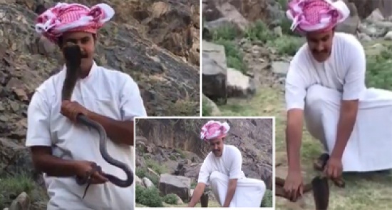 فيديو: شاب يلتهم الثعابين ويُصارع الوحوش.. هكذا تحدى أصدقائه