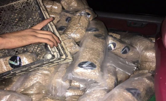 إحباط تهريب أكثر من 4 مليون حبة مخدرة عبر ميناء العقبة.. وضبط المتورطين (صور) إحباط تهريب أكثر من 4 مليون حبة مخدرة عبر ميناء العقبة.. وضبط المتورطين (صور)