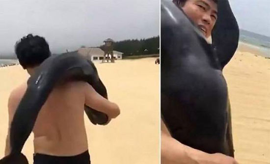 بالفيديو.. رجل يسرق شيئًا لا يصدق من البحر!