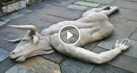 10 مقاطع لمخلوقات غريبة حيرت مشاهديها!