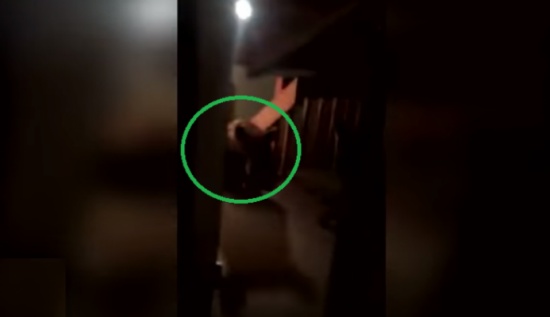 فيديو| بعد عودته لمنزله سمع صوتاً في المطبخ.. عندما دخل كان الموت في إنتظاره! فيديو| بعد عودته لمنزله سمع صوتاً في المطبخ.. عندما دخل كان الموت في إنتظاره!