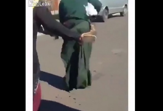 بالفيديو: حيوان غريب يتمسّك بملابس طالبة.. وهذا ما فعلته!