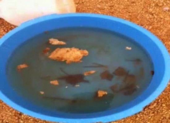 بالصور: خادمة إندونيسية تسحر 10 أشخاص من عائلة واحدة بـ 10 مسامير