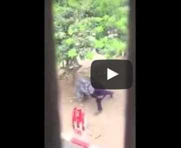 شاهد..  يضرب زوجته بالشارع ويتبادلان الاتهامات بالخيانة