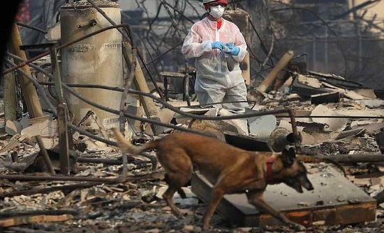 ارتفاع عدد قتلى حرائق كاليفورنيا والمفقودين لأكثر من 1000