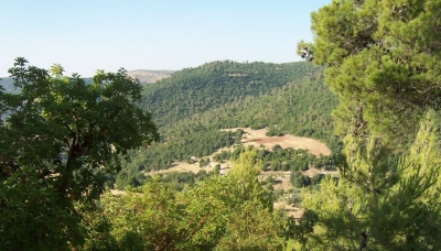 تعيين 300 عامل في "زراعة" عجلون