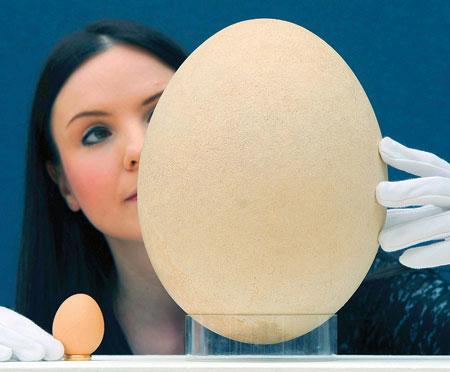 تعرفوا على أغلى أشياء في العالم !