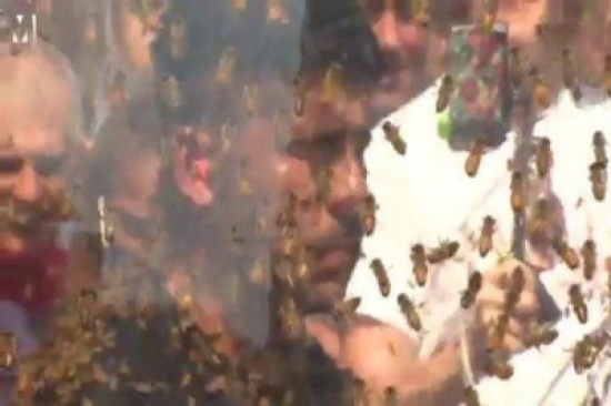 بالفيديو.. صاحب الرقم القياسي في تحمل لسعات النحل