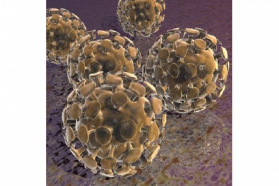 مسؤولو الصحة العمومية يحددون أولويات العمل لاكتشاف فيروس كورونا