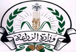 ازالة اعتداءين على مساحات حرجية في مادبا وعجلون ازالة اعتداءين على مساحات حرجية في مادبا وعجلون
