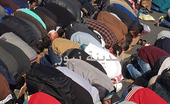 بالصور : شاهدوا تأدية آلاف الأردنيين لصلاة الجمعة قبل انطلاق مسيرة وسط البلد بالصور : شاهدوا تأدية آلاف الأردنيين لصلاة الجمعة قبل انطلاق مسيرة وسط البلد
