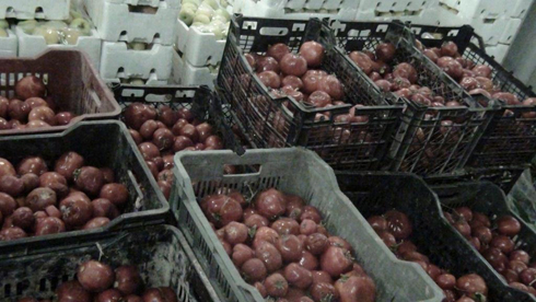 المعارضة الايرانية : القوات الحكومية العراقية تمنع دخول المساعدات الغذائية الى مخيم ليبرتي