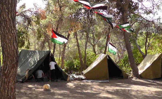 مخيم كشفي مشترك لمديرتي الطفيلة والشوبك