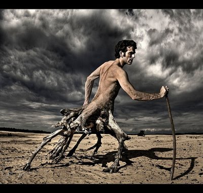 لجنة فلسطين النقابية تحتفي بالكرامة والارض