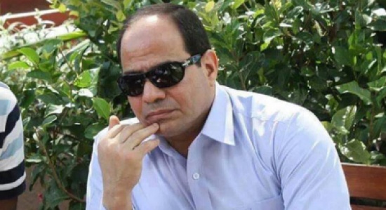 عبد الفتاح السيسي يتدخل لحل قضية أحمد عز وزينة
