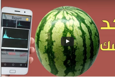 كيف تتأكد إذا كانت «البطيخة» ناضجة باستخدام الهاتف؟ (فيديو)