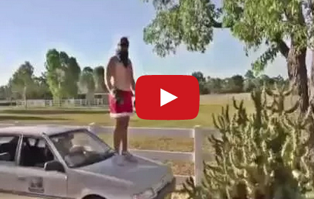 بالفيديو :  شاهد شخص يقفز وسط نبتة صبار مملوءة بالأشواك