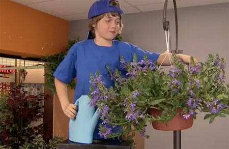 سقاية الزهور