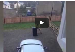 بالفيديو.. صندوق قمامة يضع رجلا في موقف محرج